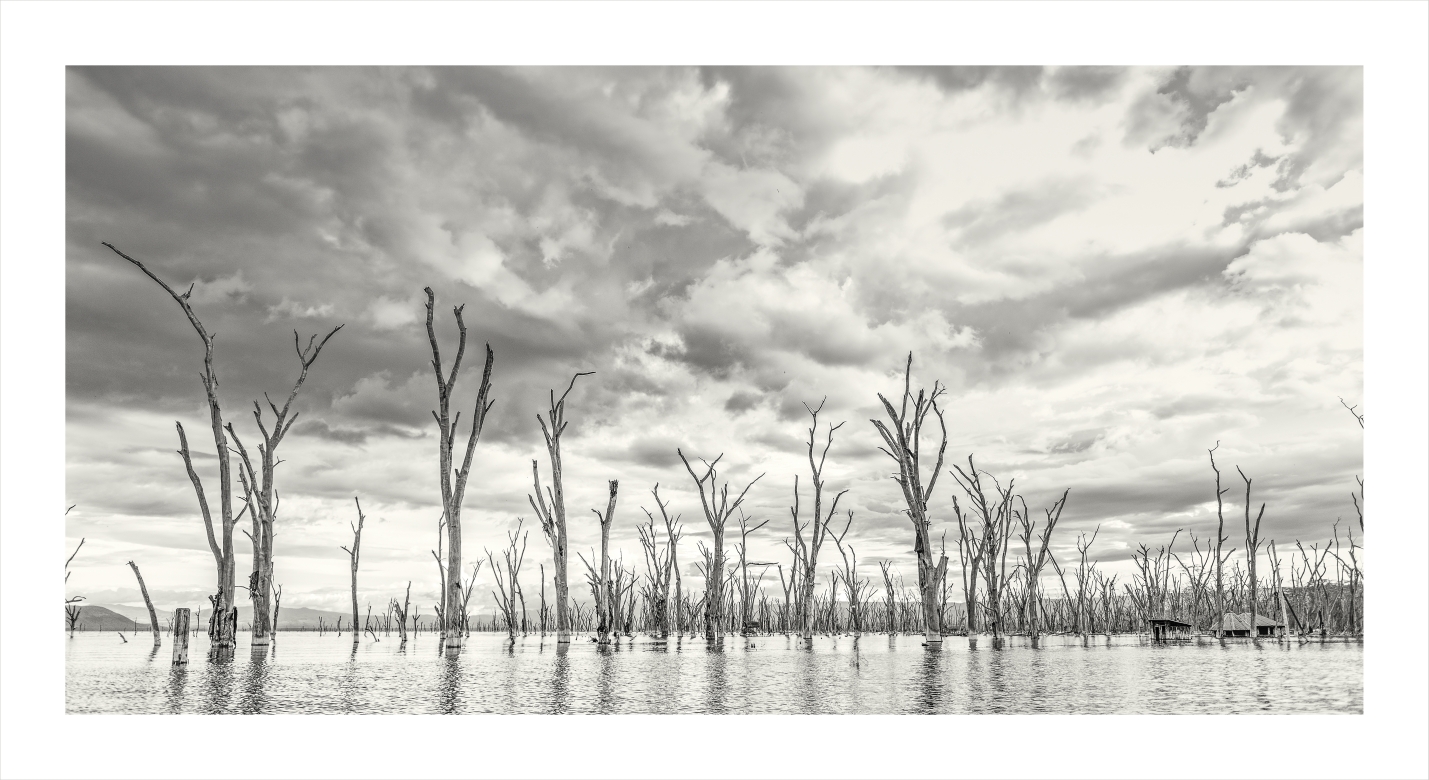 Cenizas - Nakuru, Kenia 2019