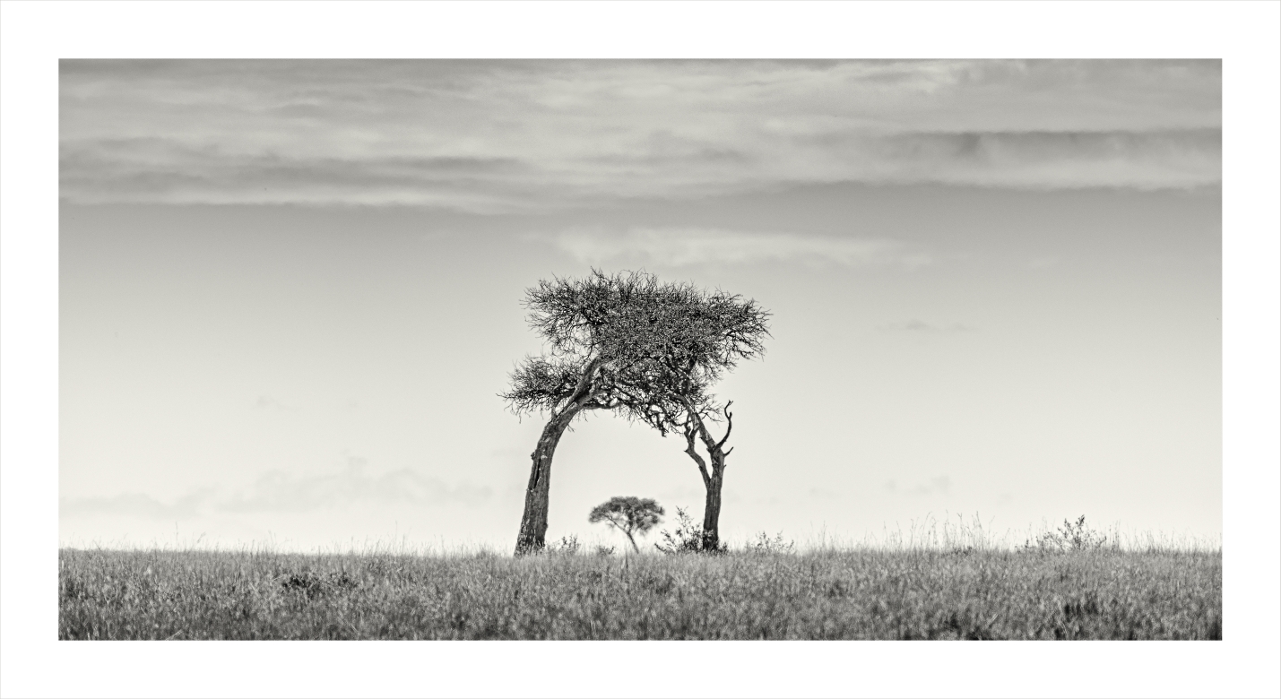Arco del Triunfo - Masai Mara, Kenia 2019